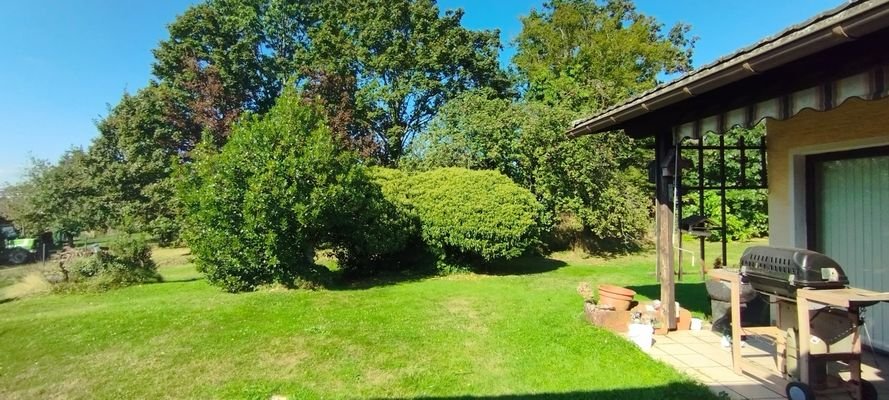 Blick in den Garten