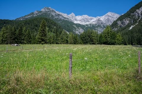 Sankt Ulrich am Pillersee Grundstücke, Sankt Ulrich am Pillersee Grundstück kaufen