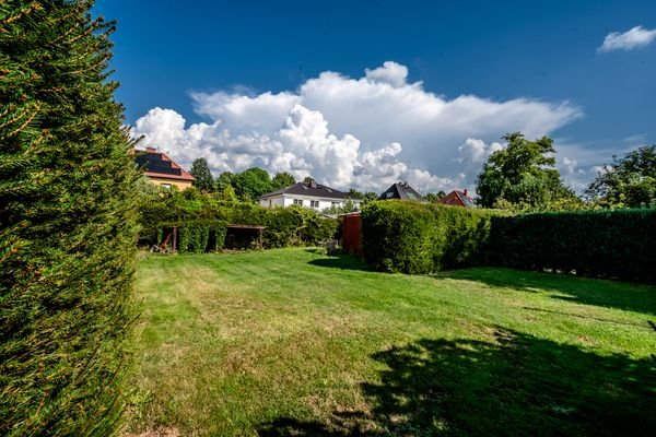 Blick in den Garten