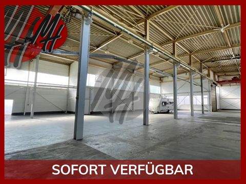 Neu-Isenburg Halle, Neu-Isenburg Hallenfläche