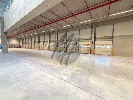 INFOS UNTER: 06171-586000