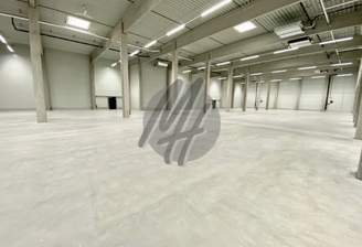 INFOS UNTER: 06171-586000