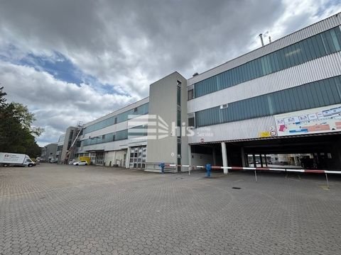 Nürnberg Halle, Nürnberg Hallenfläche