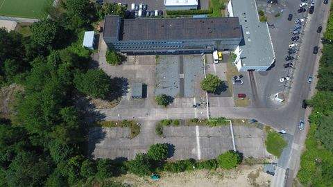 Berlin Halle, Berlin Hallenfläche