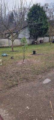 Juliana Nachbar 32.JPG