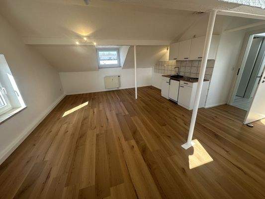 Wohn-Schlaf-Kochbereich (2)