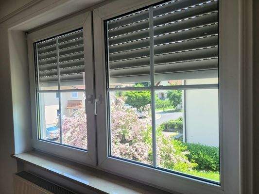 Jalousien an den Fenstern