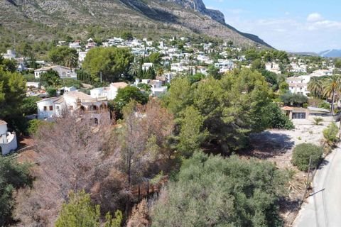 Denia Grundstücke, Denia Grundstück kaufen