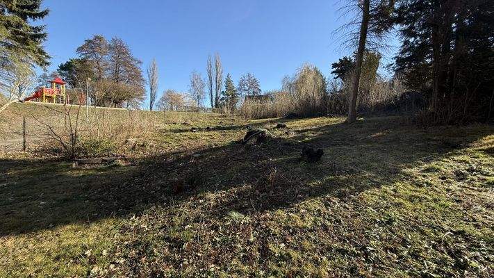 Gerodete Waldfläche auf dem Grundstück