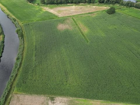 Laar Bauernhöfe, Landwirtschaft, Laar Forstwirtschaft