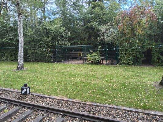 Wiese mizt Blick auf den Hundezwinger