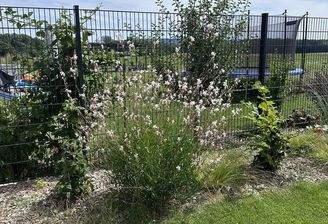 Garten_links