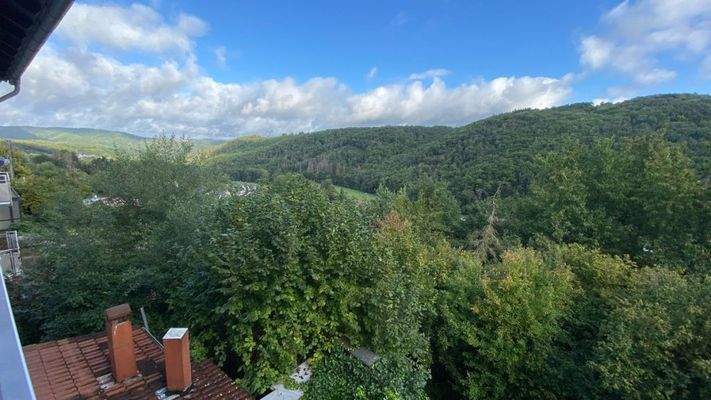 Blick ins Grüne vom Balkon
