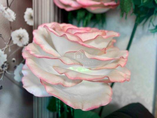 Erdgeschoss Blume mit Licht