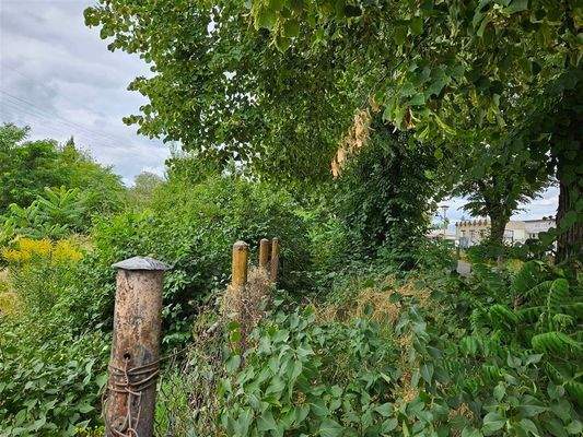 Seitlich vom Grundstück