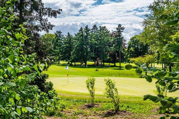 Ein Abschlag zum Grün