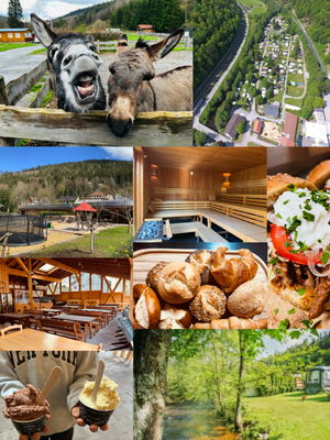 Gastronomie auf dem Platz