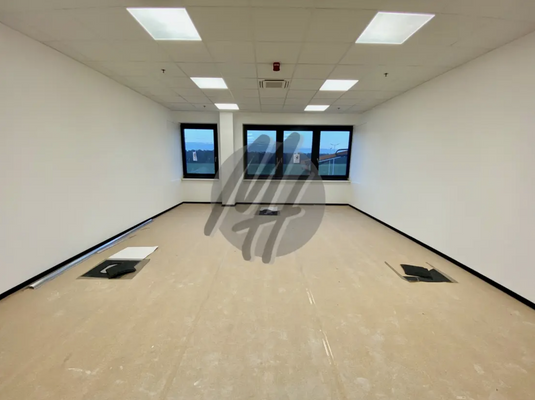 INFOS UNTER: 06171-586000