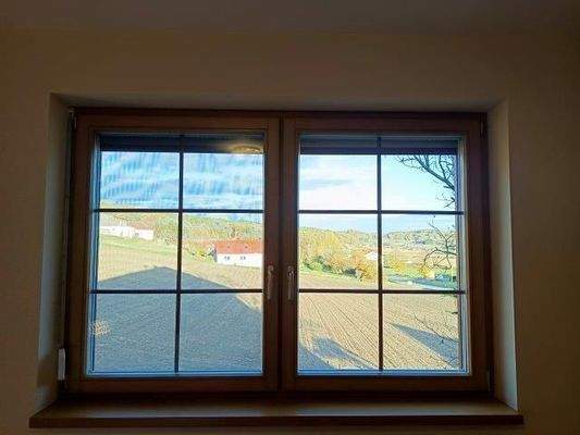 IMG_20251028_154946 - Kopie.jpg