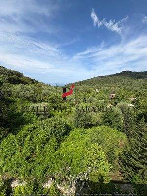 WhatsApp Image 2025-05-11 at 10.27.33-15.jpeg