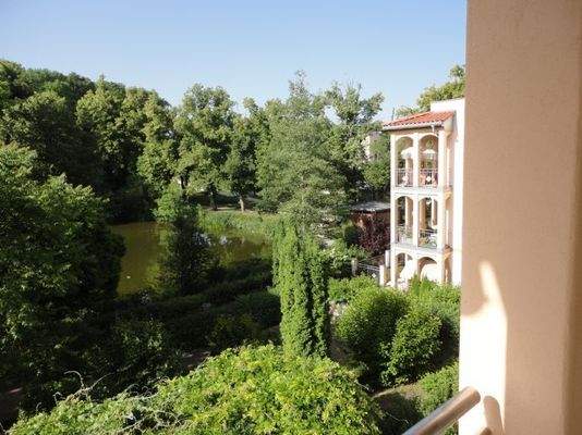 Blick vom Balkon auf Hippenweiher