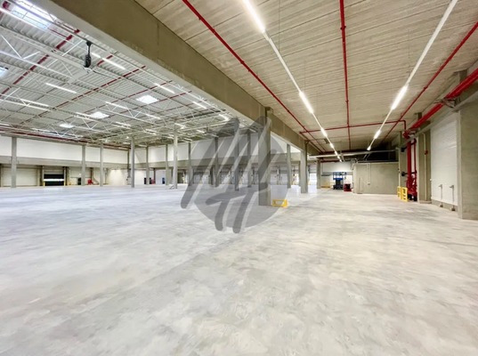 INFOS UNTER: 06171-586000