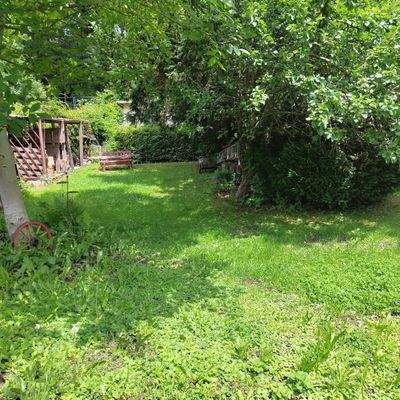 Grüner Garten mit Bäumen