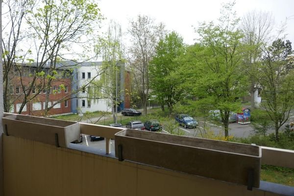 Blick ins Grüne 