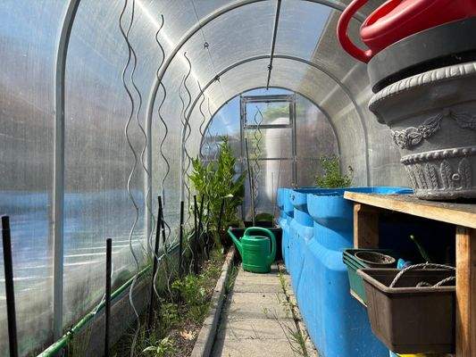 Gewächshaus.jpg