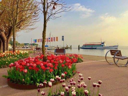 FullSizeRender copia 2.jpg