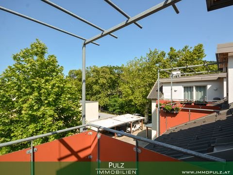 Hinterbrühl Wohnungen, Hinterbrühl Wohnung mieten