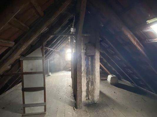 Sandstein-Rarität für Liebhaber 6198.pdf-image-028.jpg