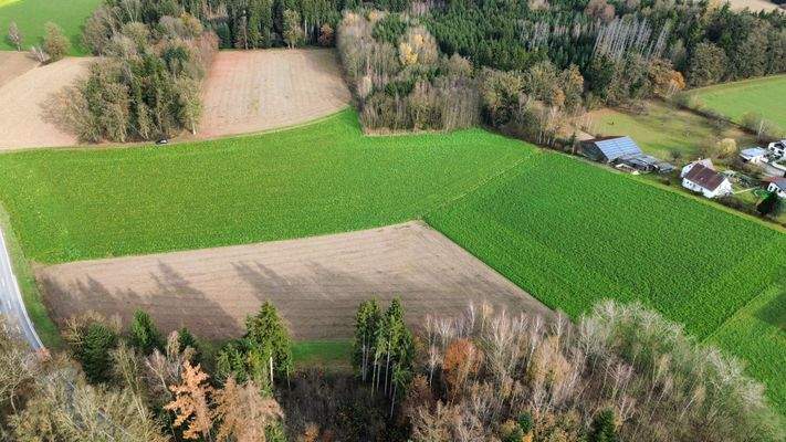 dji_fly_20251118_115612_827_1763463381728_photo_optimized