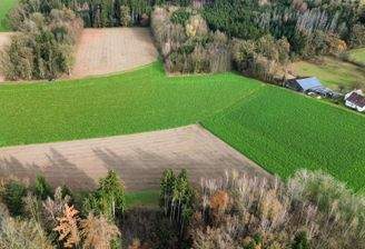 dji_fly_20251118_115612_827_1763463381728_photo_optimized