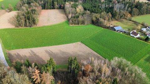 Neuhaus am Inn Grundstücke, Neuhaus am Inn Grundstück kaufen