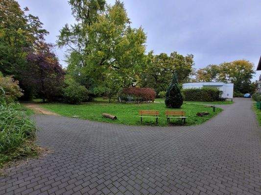 20251007_120116_resized