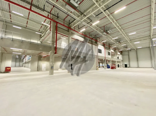 INFOS UNTER: 06171-586000