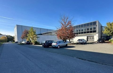 Paderborn Halle, Paderborn Hallenfläche