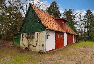 Schuppen mit Pferdeboxen