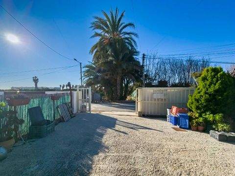 Los Montesinos Häuser, Los Montesinos Haus kaufen