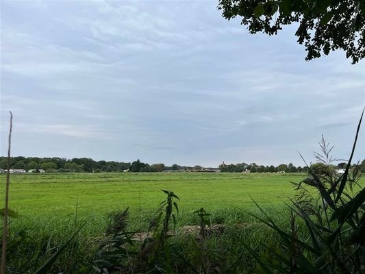 IMG_8868