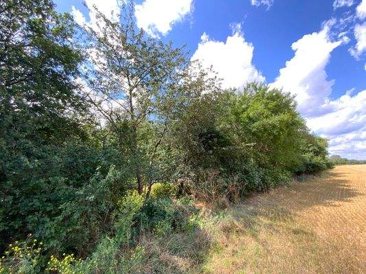 Am Feldrand 2 - Blick Richtung Westen