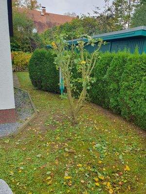 05_am Giebel der Eigentumswohnung