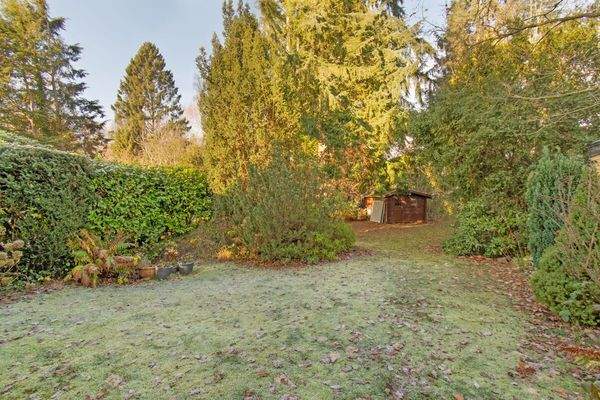 Ruhiger, weitläufiger Garten mit gewachsenem Baumbestand 