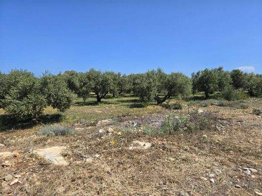 Kreta, Latsima: Großes bebaubares Grundstück zum Verkauf