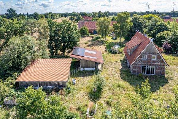 Die Pferde sind nur ein paar Schritte entfernt