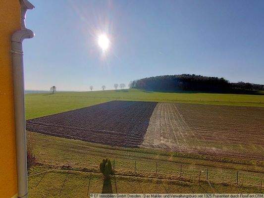 Ausblick aus Wohnung (1)