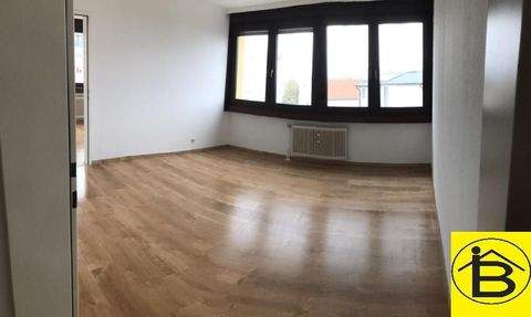 Gänserndorf Wohnungen, Gänserndorf Wohnung mieten