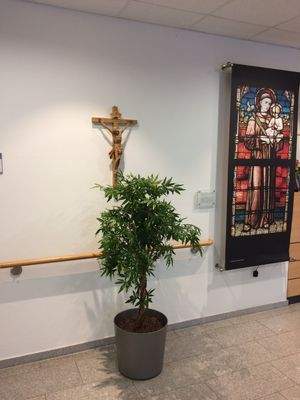 gemütlicher Empfangsbereich Malteser.JPG