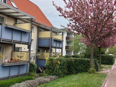 Bad Münder Wohnungen, Bad Münder Wohnung mieten